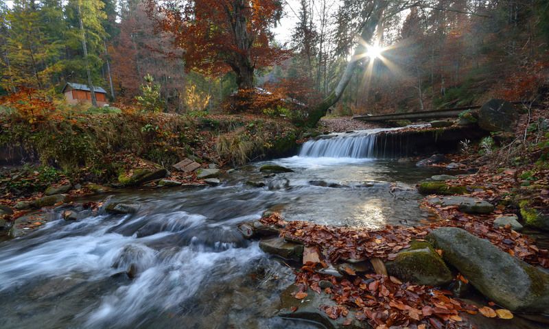 карпаты, боржава, шипот  фото превью