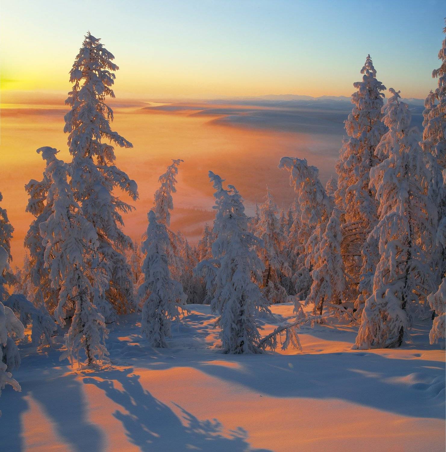 Якутия, зима, полюс холода., Владимир Рябков