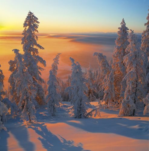 Минус 57. Минор.