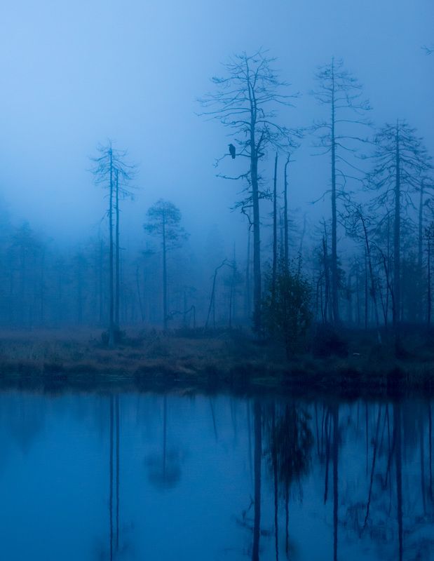Northern nature фото превью