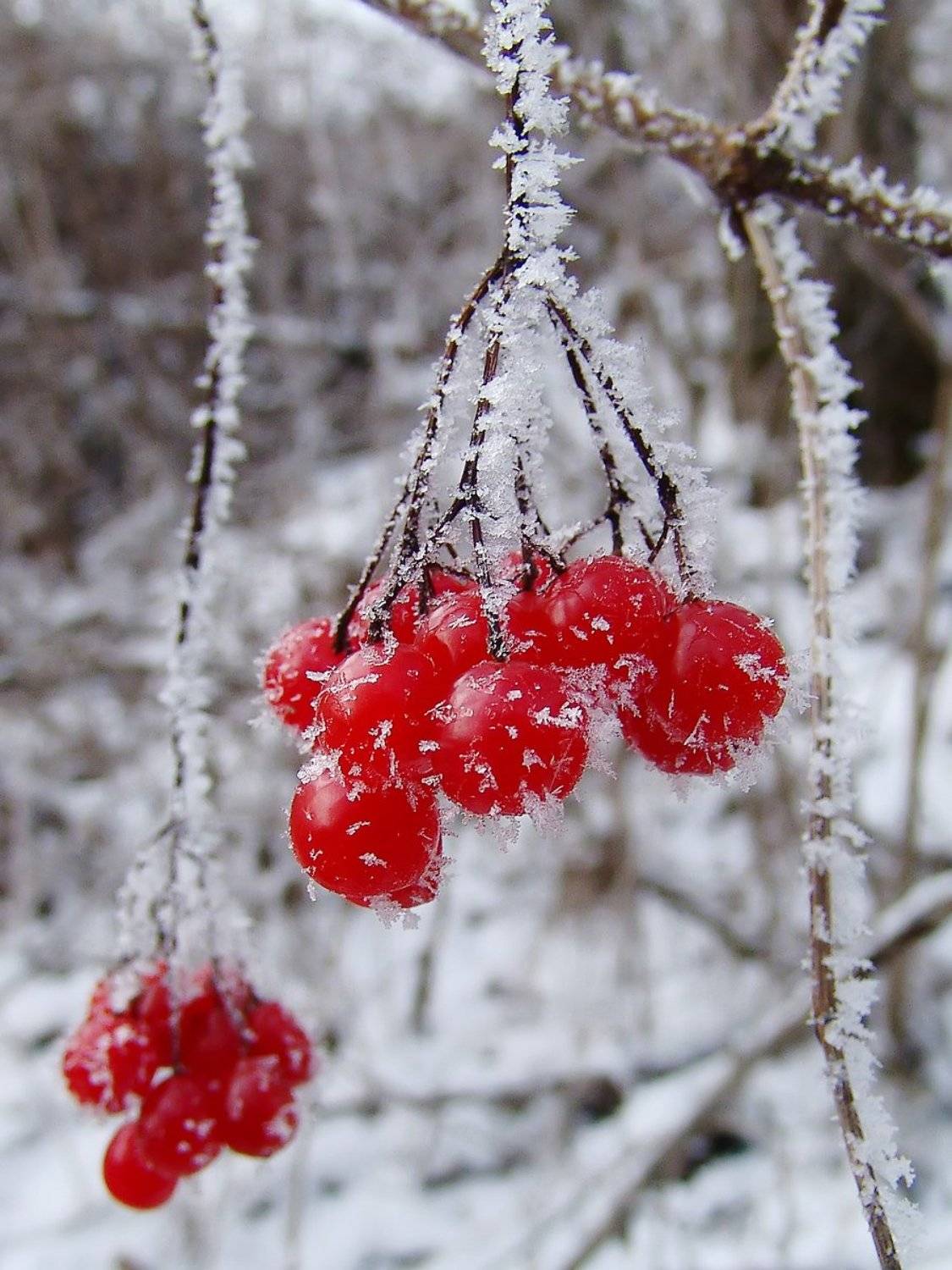 , Александр Войтенко