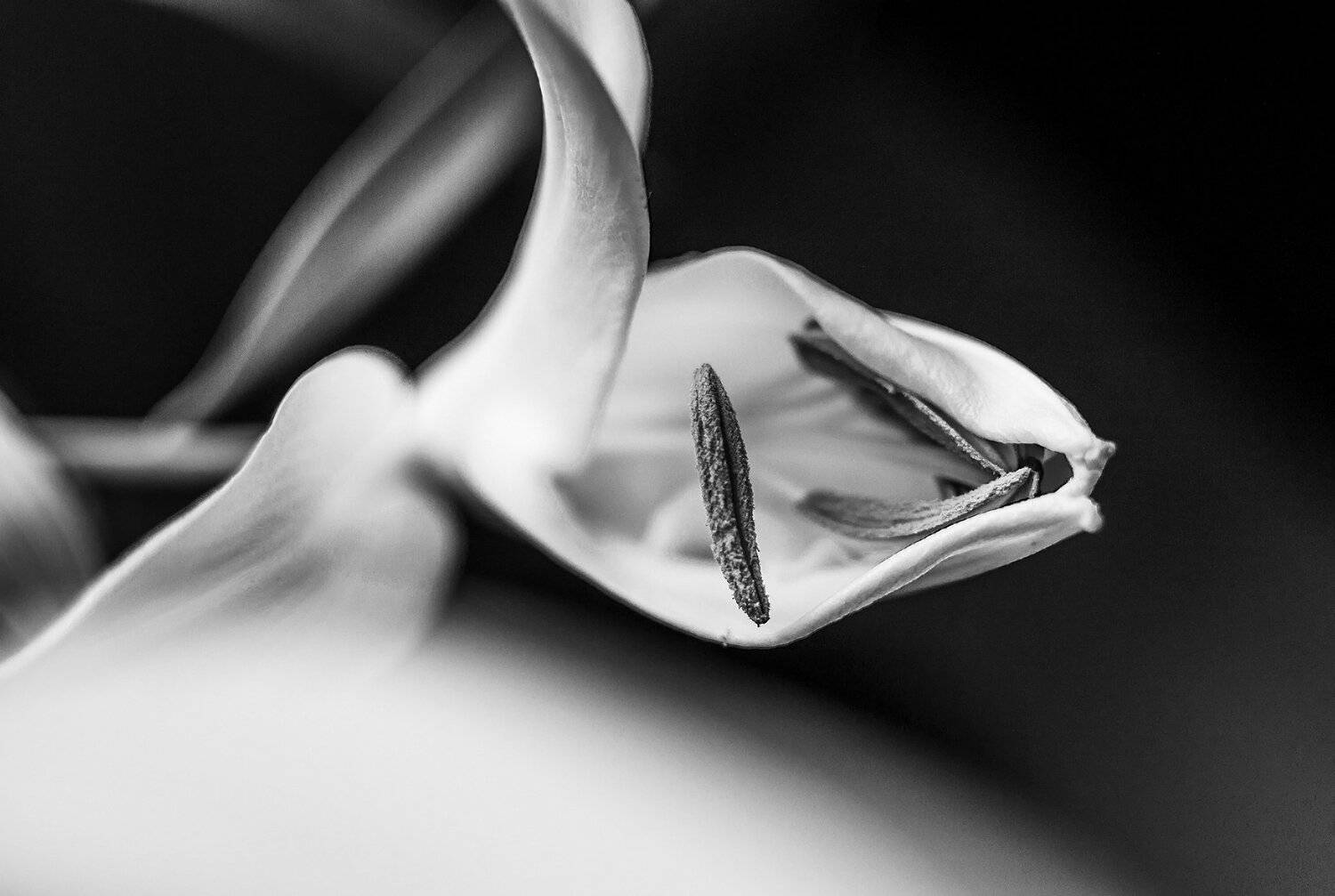 , Чернякова Анна