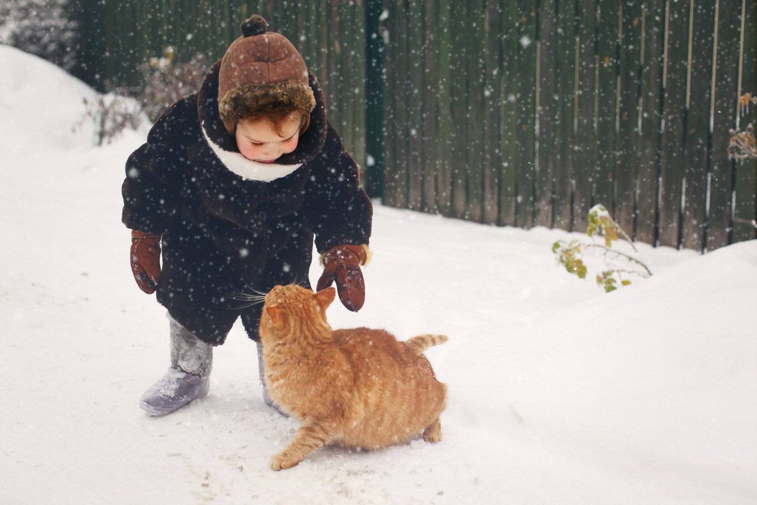 , Коровина Елена