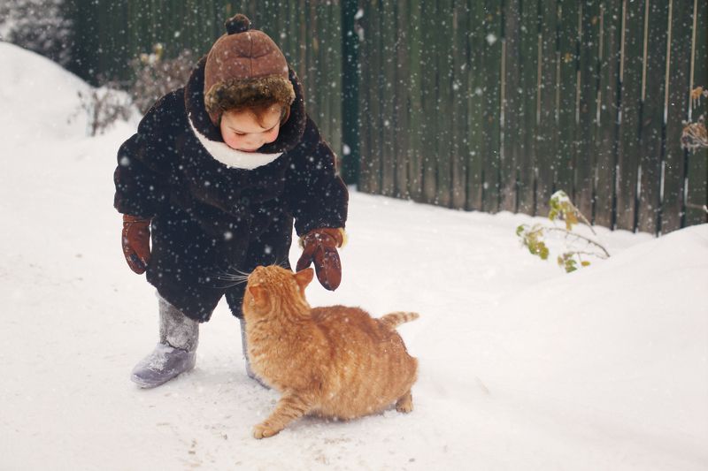 фото превью