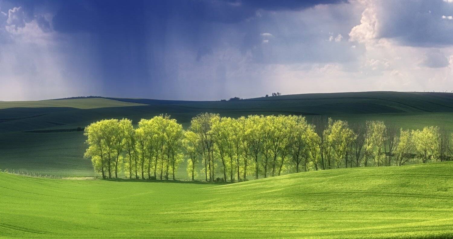 моравия, чехия, весна, май, поле, дождь, Евгений Матюшенков