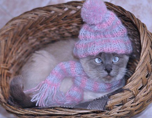 Время зимних одежек...