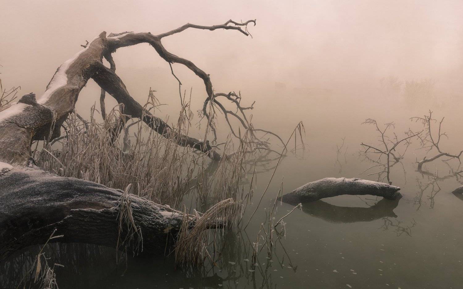 hieroglyphics, ,, Alexander Plekhanov