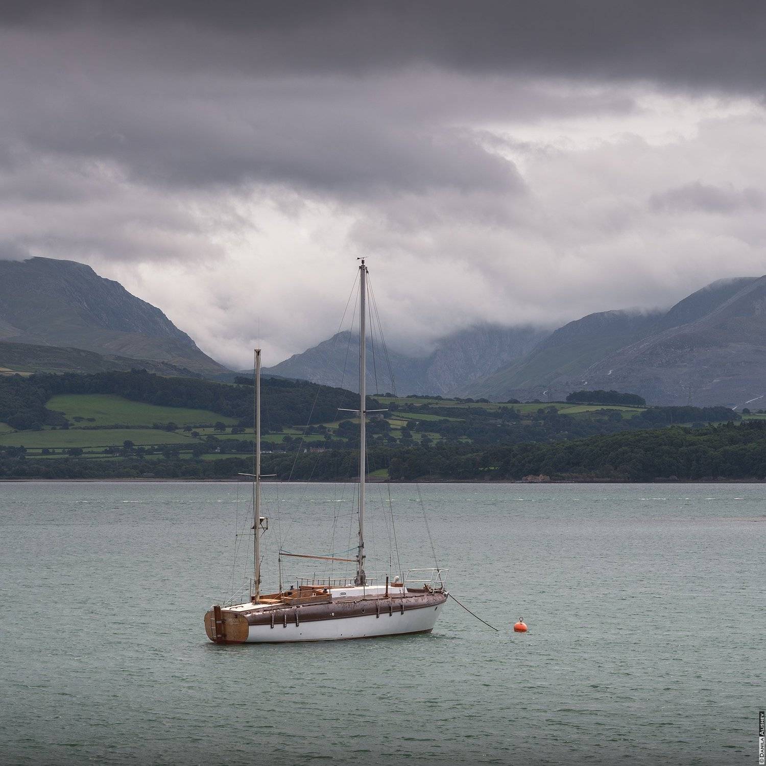 , Данила Алишев