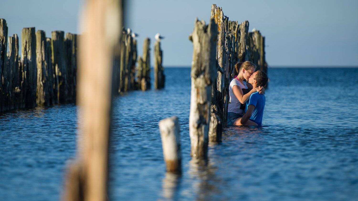 portrait summer, Алексей Мельситов