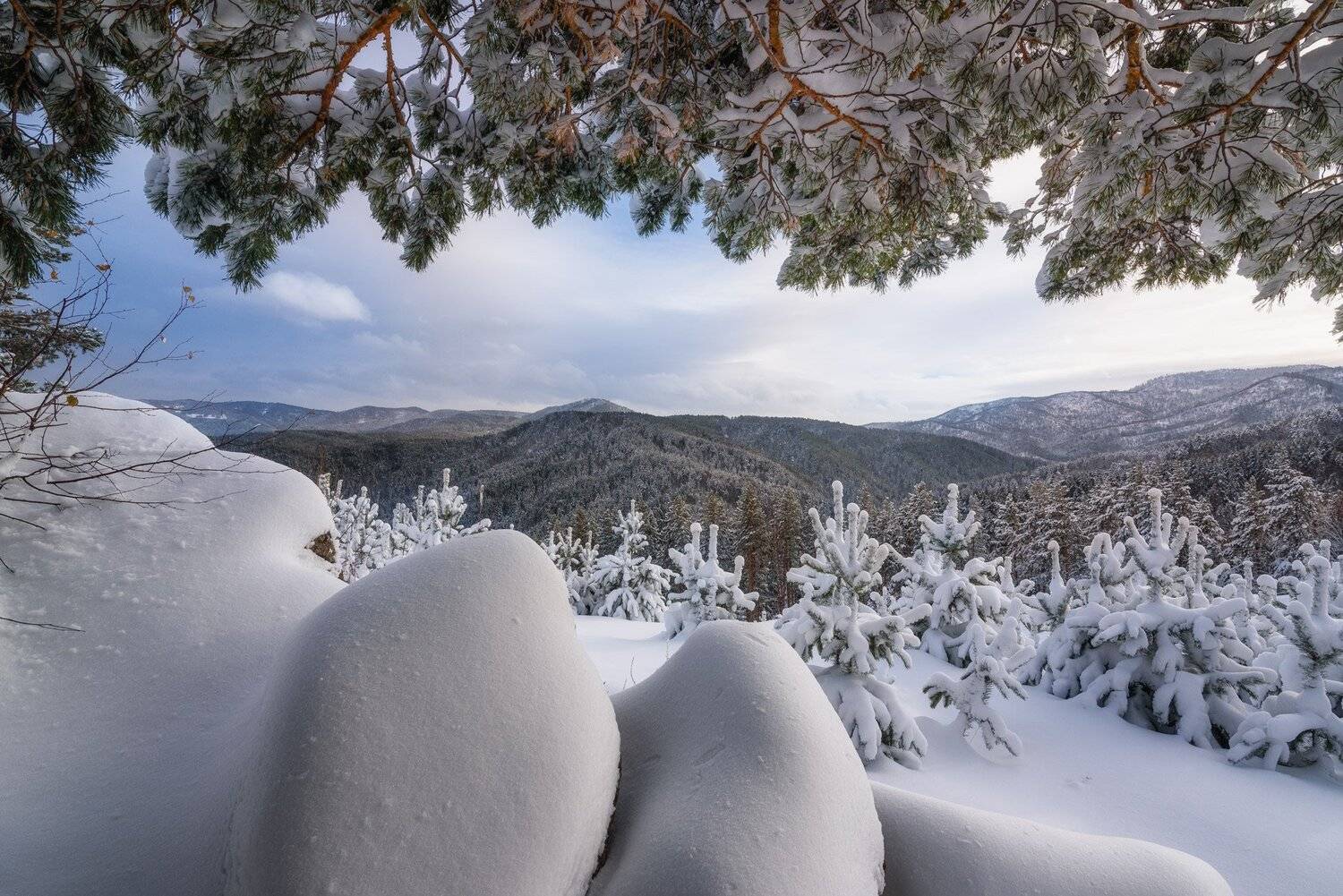 алтай, зима, снег, горы, скалы, лес, сосна, камни, Павел Силиненко