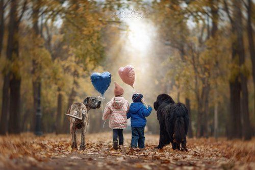 Go to where fairy tales live ...