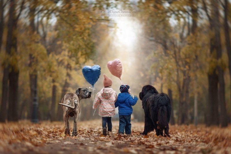 дог, ньюфандленд, собаки, дети, сказки Go to where fairy tales live ... фото превью