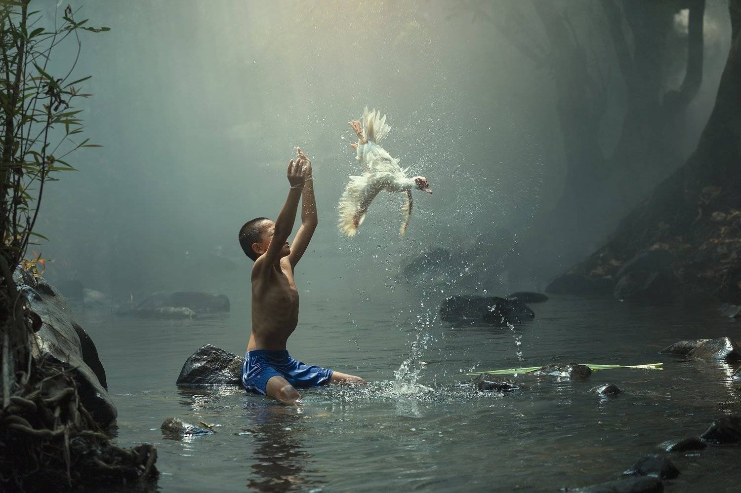 portrait,thai,people,animal,boy,child,nature,, SUTIPORN SOMNAM