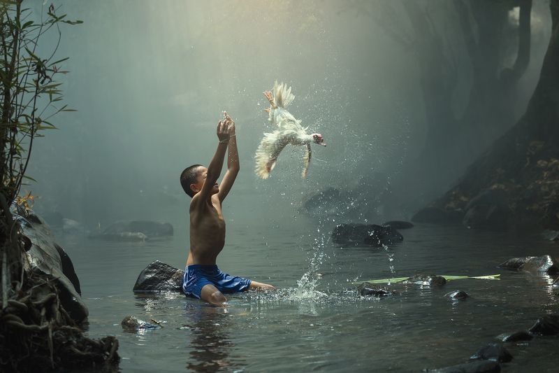 portrait,thai,people,animal,boy,child,nature, Independence фото превью