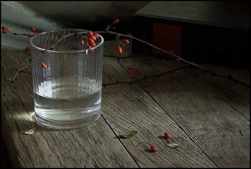 С книгой фото превью