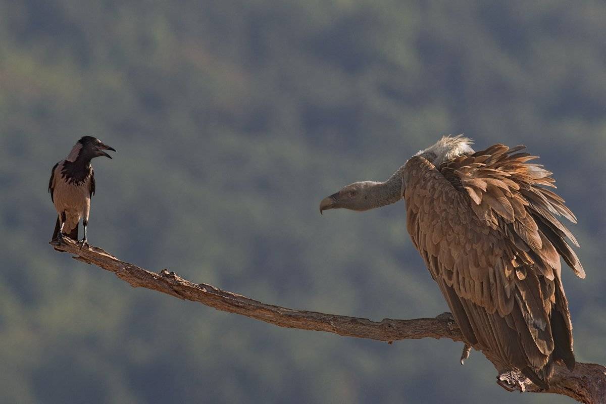, Георги Славов