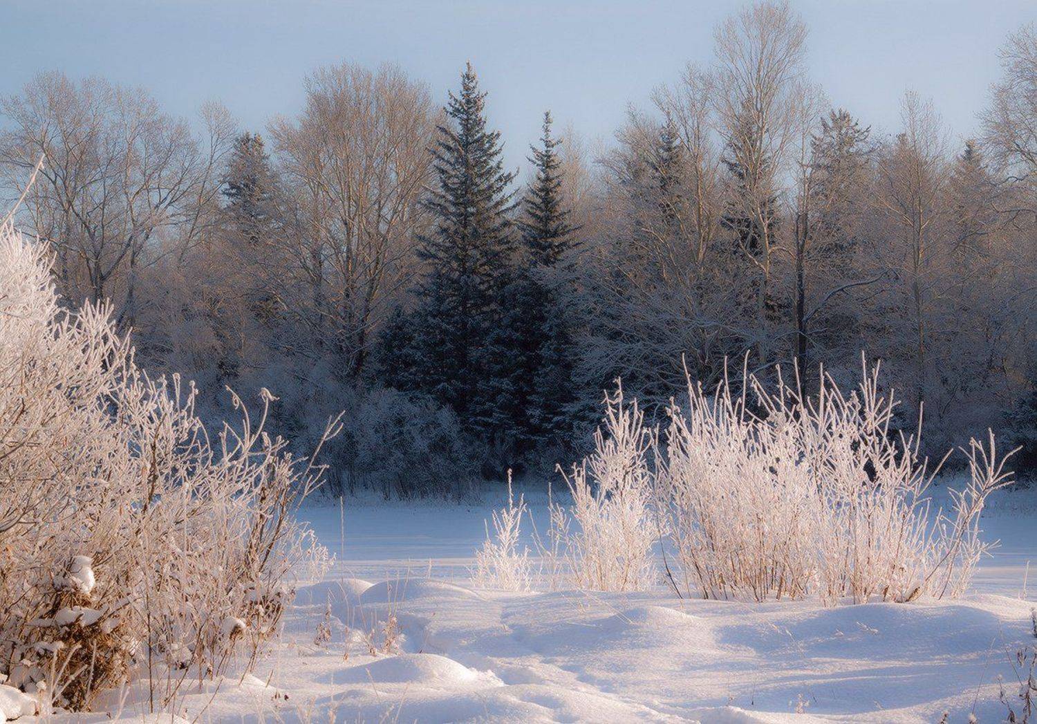 , Николай Морский