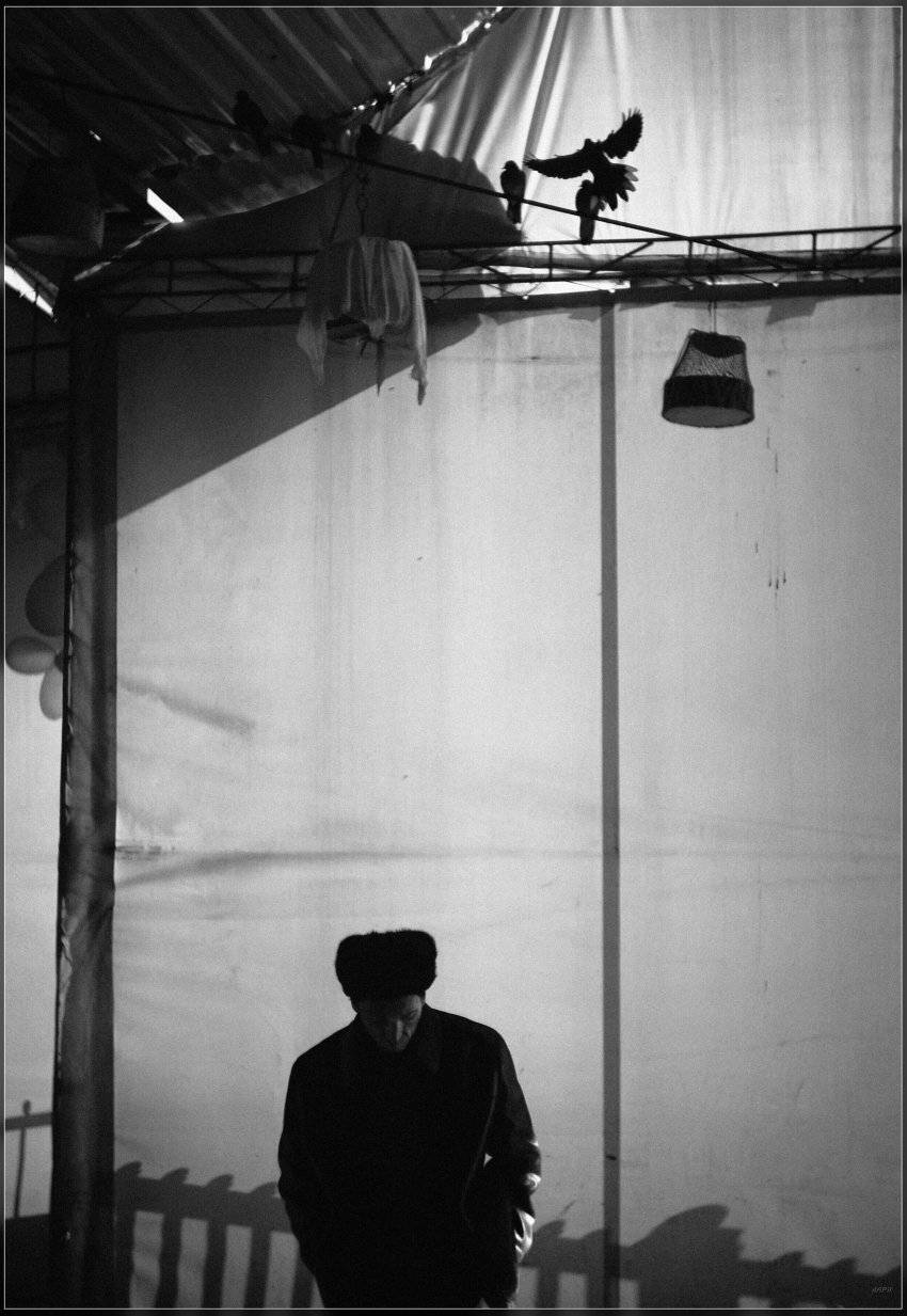 , Ильдар Садыков