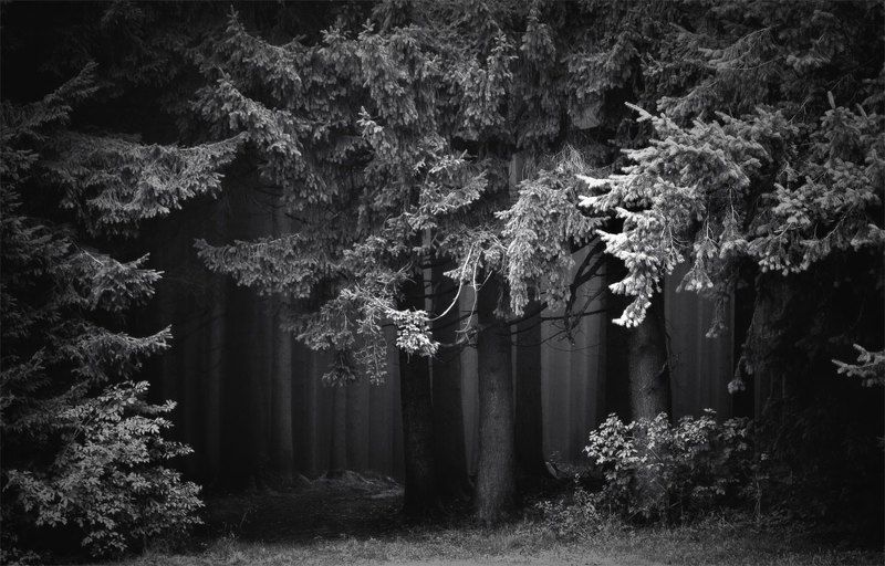 ... фото превью