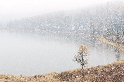 Снежная безмятежность (Первый снег на озере Кеделю)