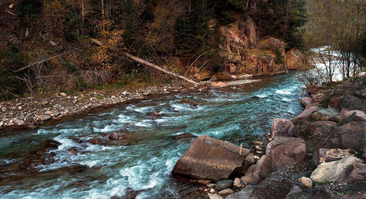 , Игорь Дубровский