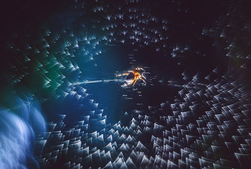 ...по млечному пути... фото превью