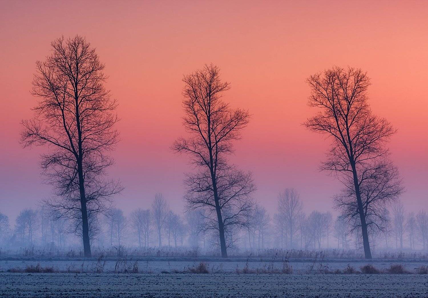 , Kani (kanipolat.com) Polat