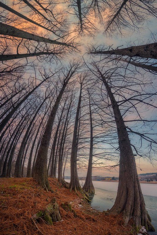 На берегу озера фото превью