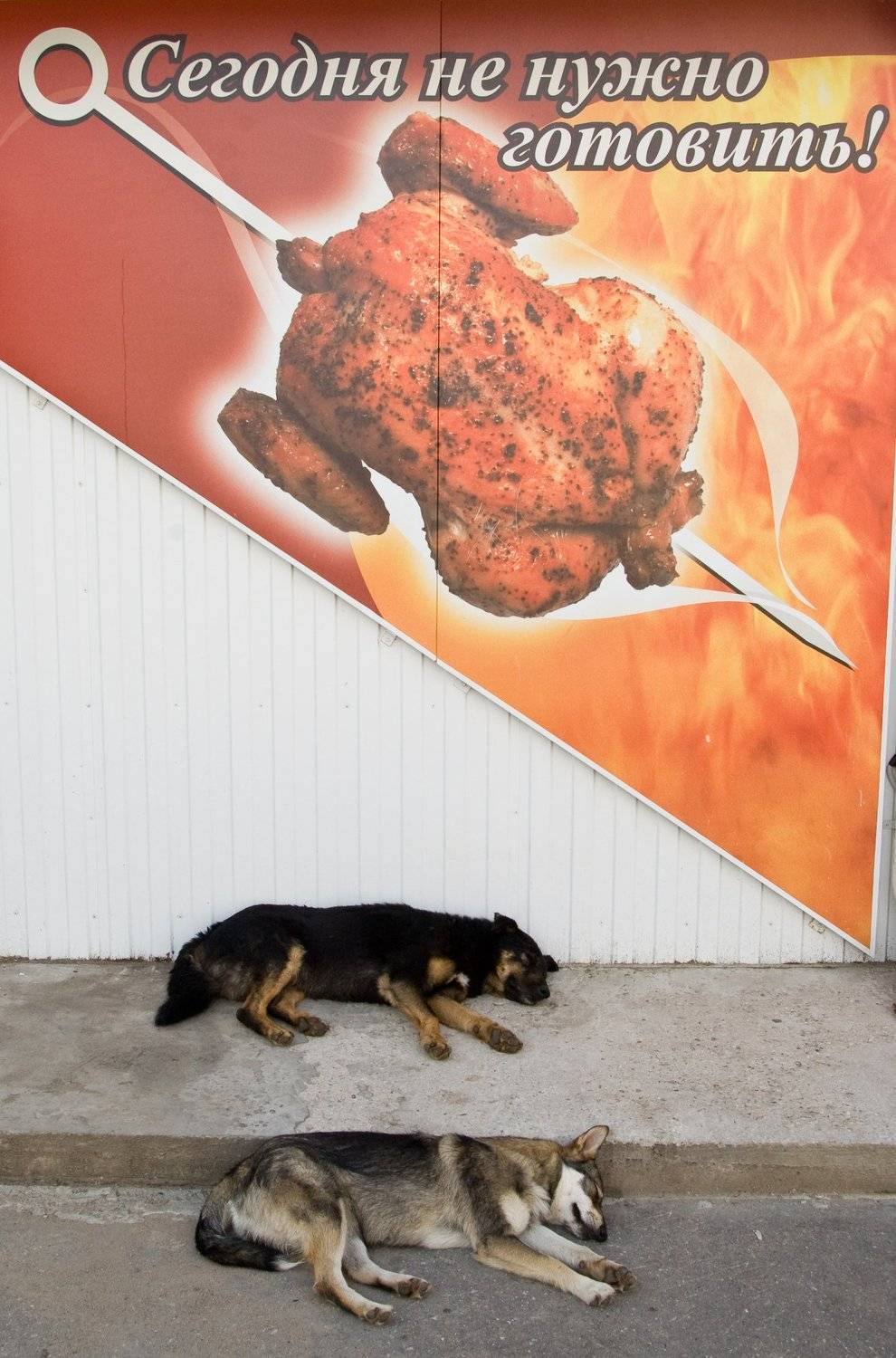 , подгурченко виталий ильич