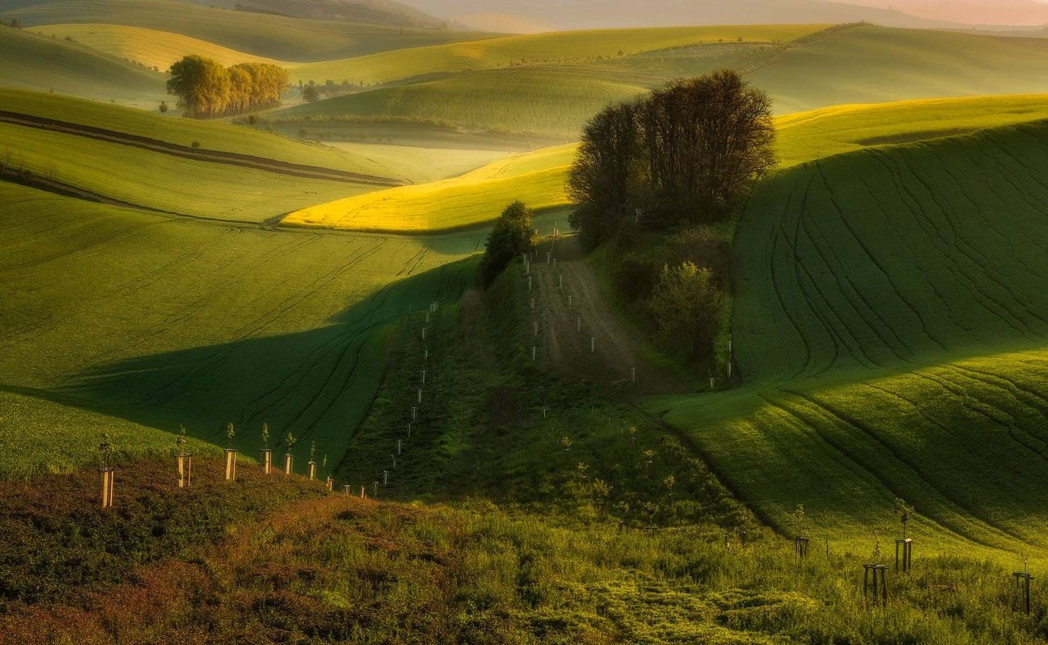 , Pawel Uchorczak