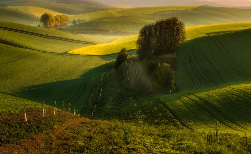 Moravian land