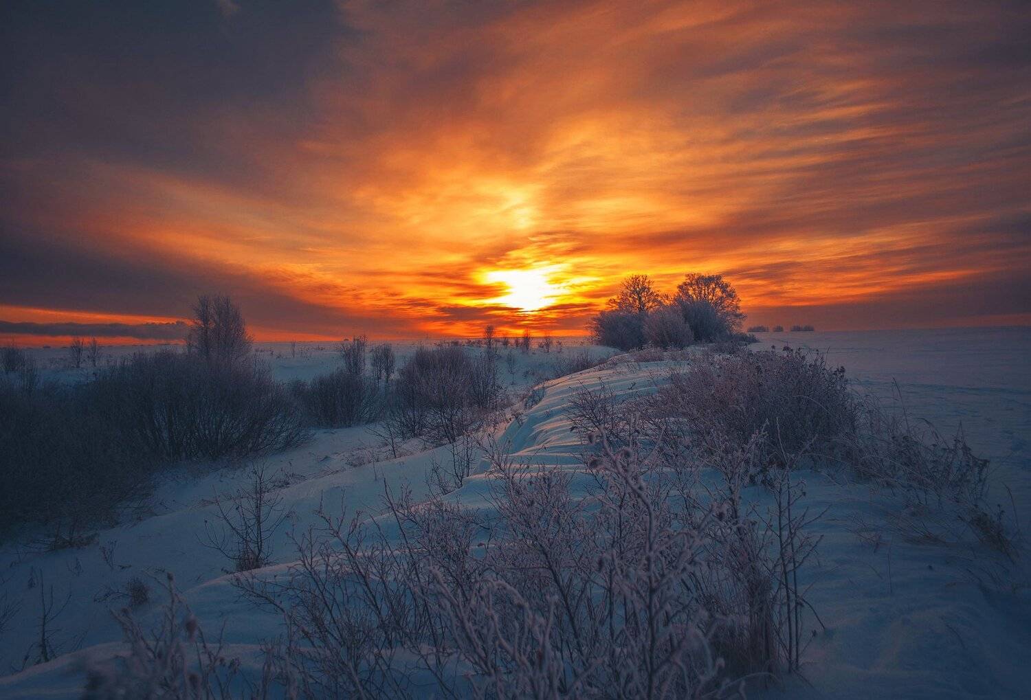 фото, природа, зима, закат, лес, Екатерина