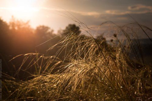 После дождя