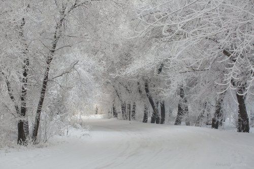 Снежное снежное одеяло зимы