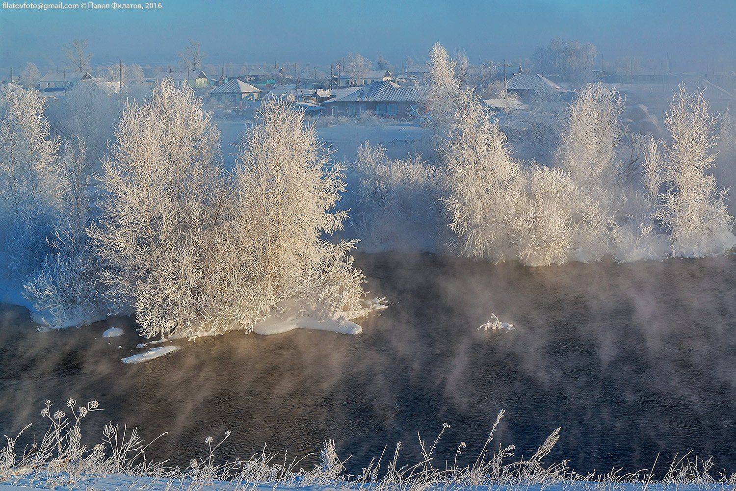 алтай, altai, сибирь, siberia, pavel filatov, павел филатов, koksha, кокша, зима, иней, семилетка, алтайский_край, altai_krai, frost, hoarfrost,, Павел Филатов