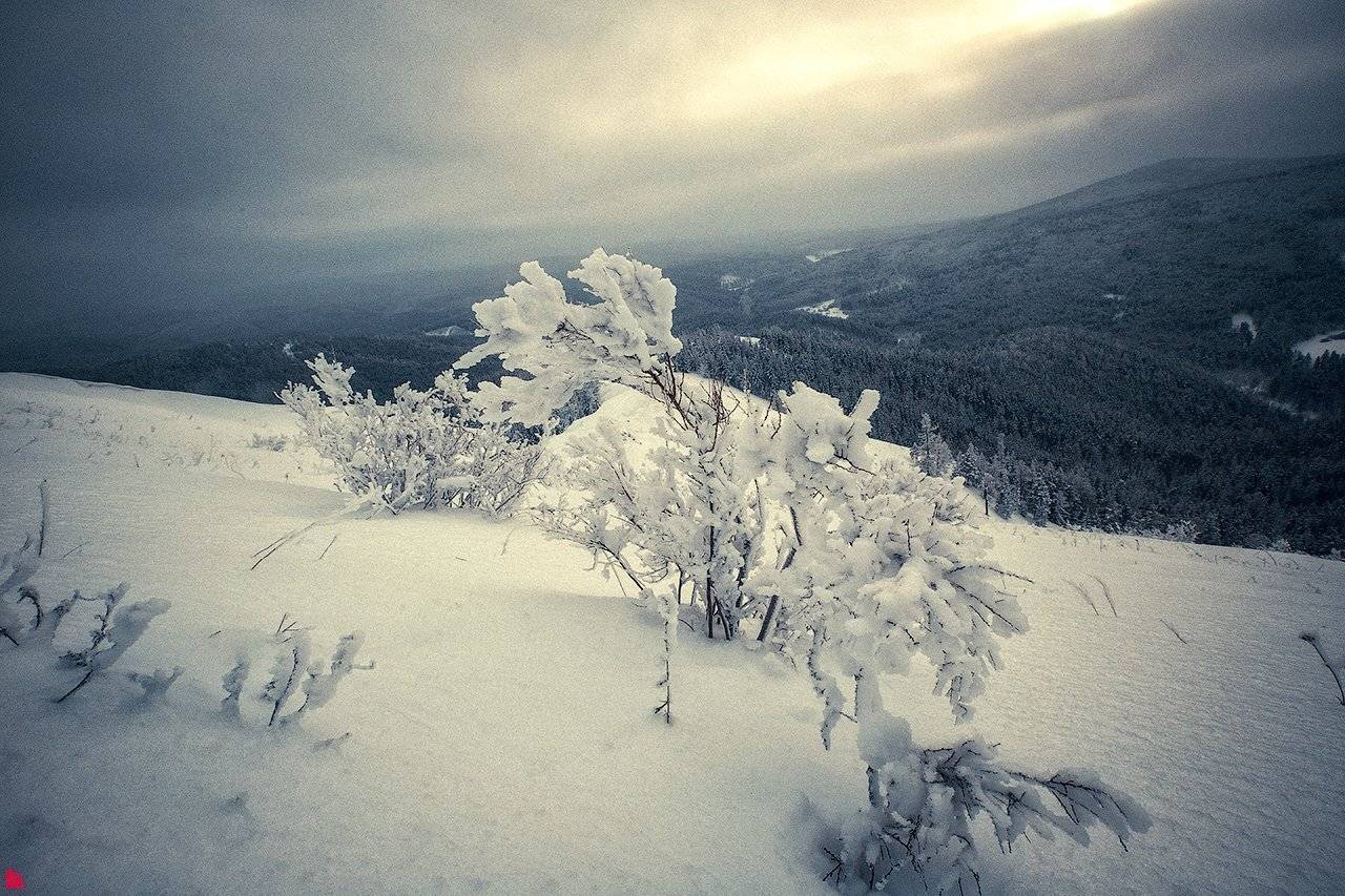 гора мухабат, Осипов Ёжъ Александр