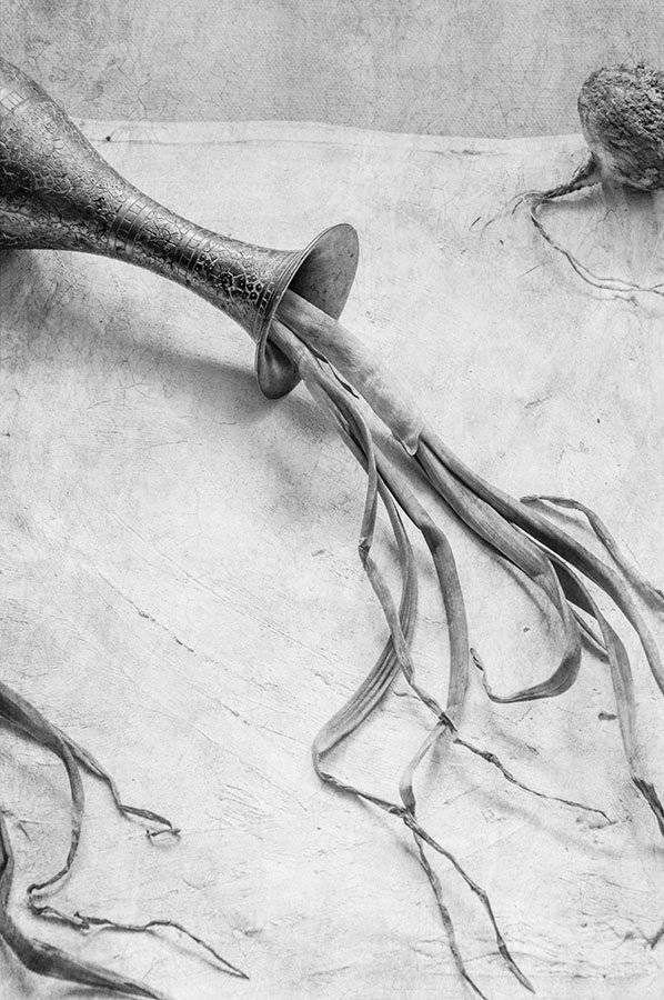 ваза,упала,лук,овощи,металлическая,индийская,монохром, Игорь Токарев