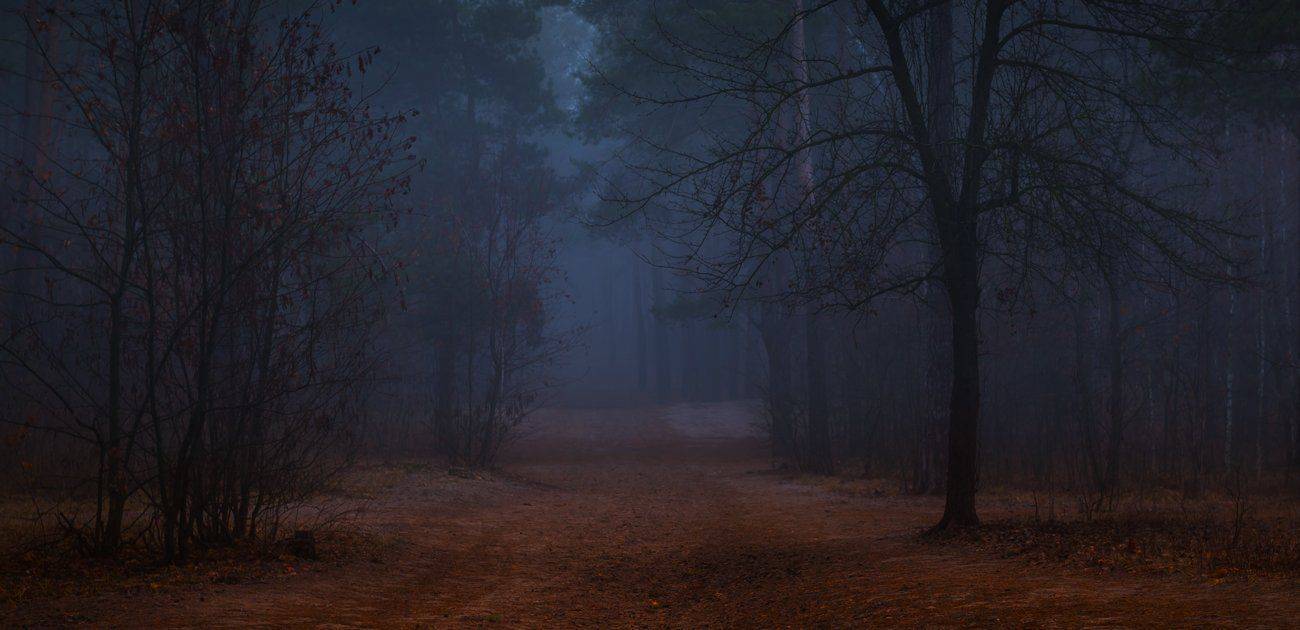 синие, сумерки, Галанзовская Оксана