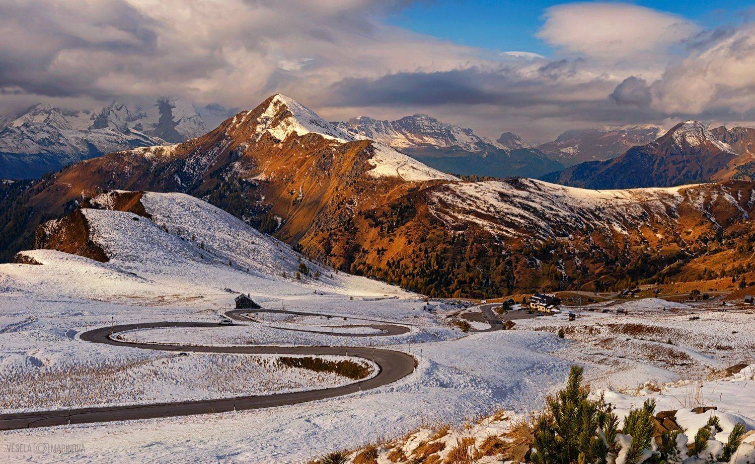 , Весела Маринова