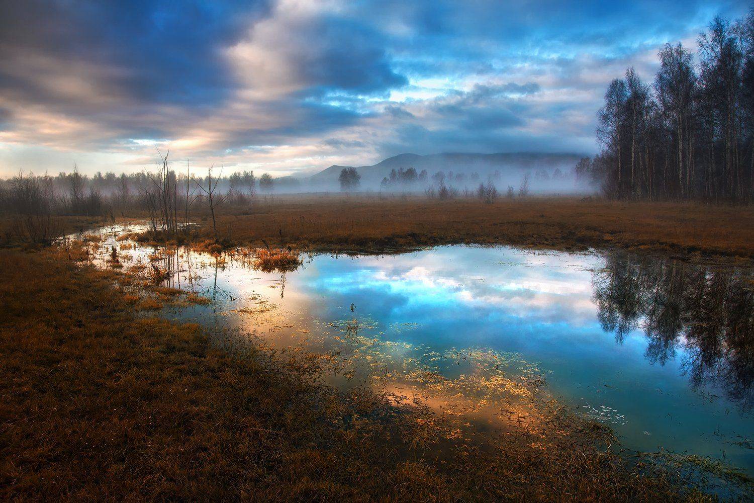 , Александр Сысуев