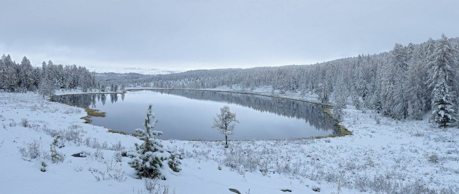 , Лещёнок Александр