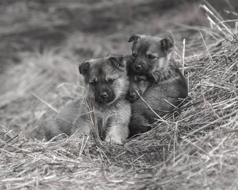 Вместе теплее фото превью