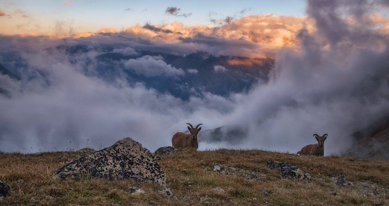 , Шевченко Юрий