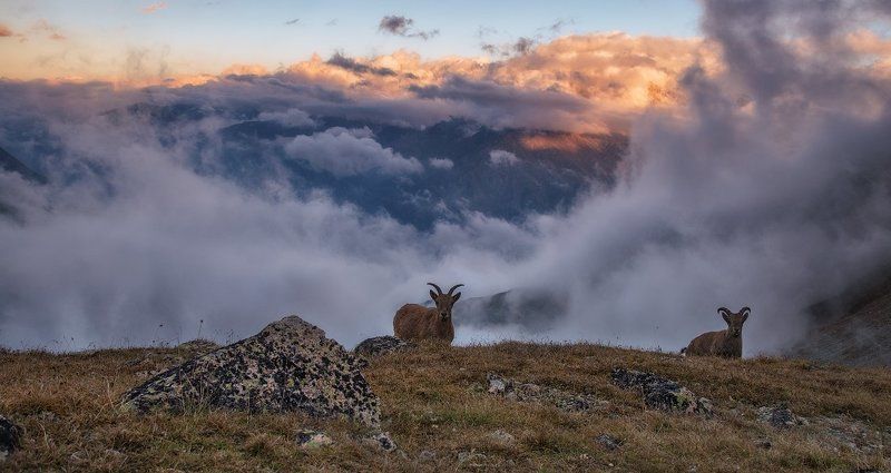 Авангард фото превью