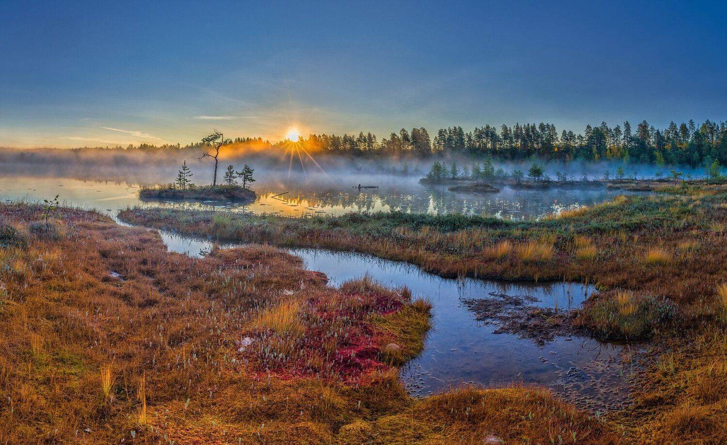 , Олег Авдеев