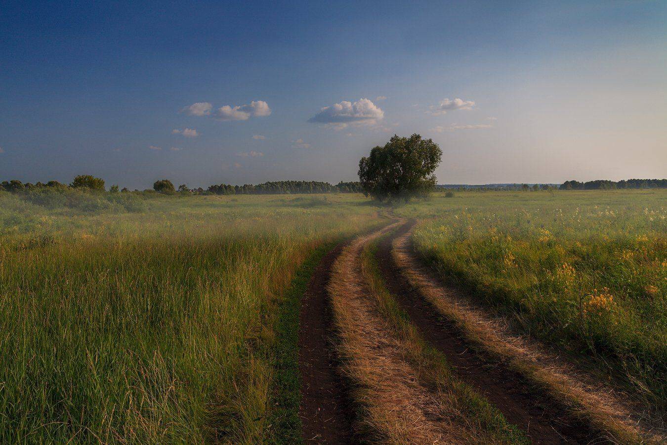 , Марат Кучкаев