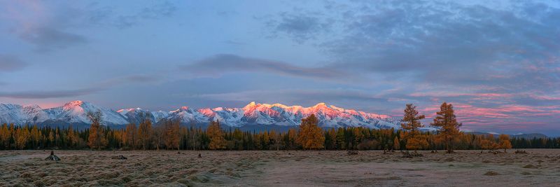 утро, рассвет, облака, осень, курайская степь, северо-чуйский хребет, горный алтай Pro коварный рассвет на склонах Северо-Чуйского хребта фото превью