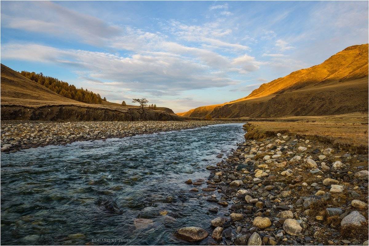 Кутыгин, Алтай, Алтайосенью, Осень, Золото, Чуя, республика, Nikon, лиственница, изгиб, меандры, бирюза, лазурь, сентябрь, на, Алтае, кокоря, Бугузун, Карагай, Карасу, Сайлюгем, Чихачёва, Чихачева, подорогевтуву, Туву, Тыву, Кутыгин Эдуард