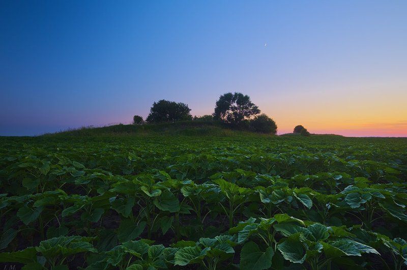 вечер на старом кургане фото превью