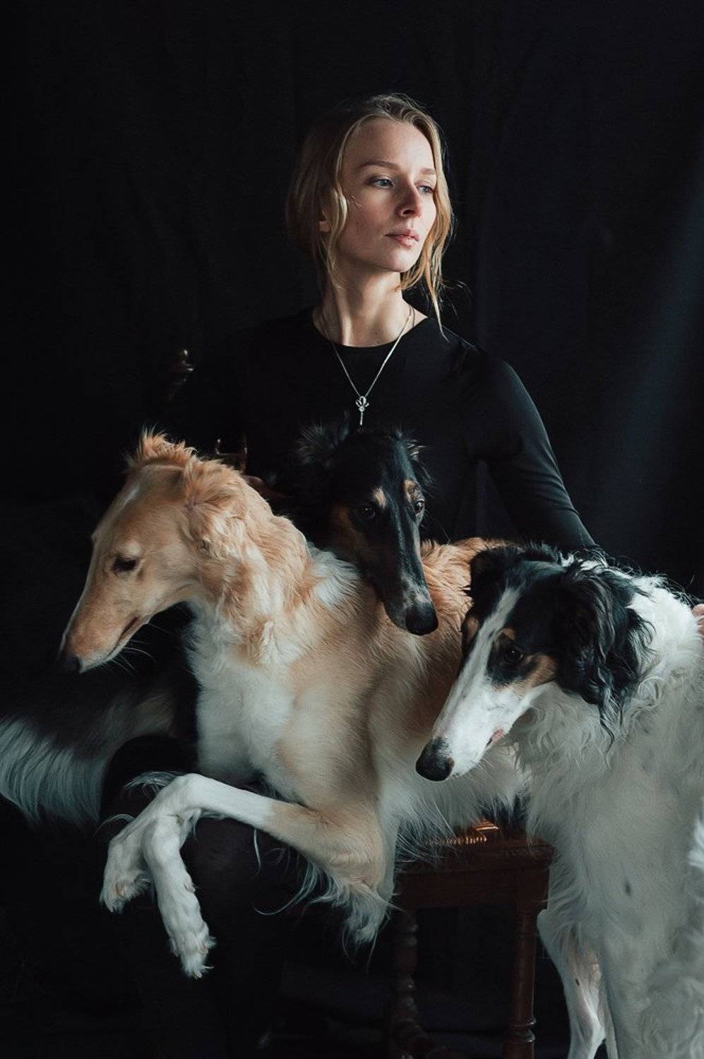 borzoi, Евгений Савуков